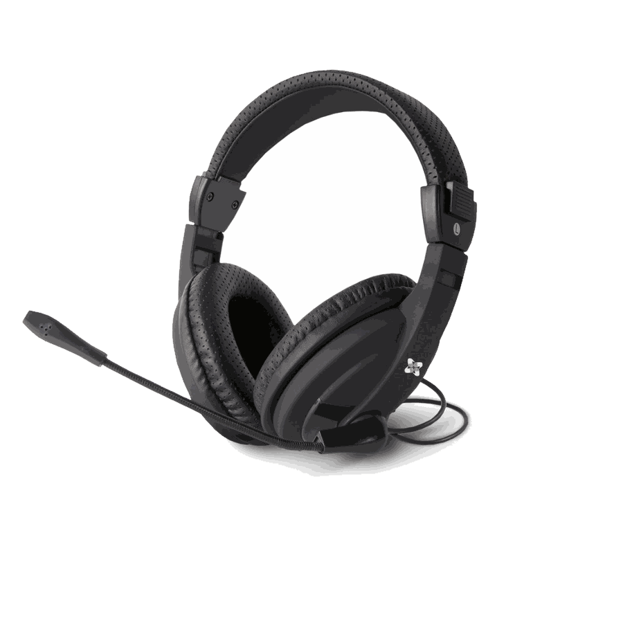 Headset (HS100)